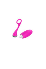 Vibrator’s Vajinal-Klitoral Uyarıcı Uzaktan Kumandalı (Rometo Kontrol ) 12 Fonksiyonel Yüksek Frekans-Titreşim Özelliği Kumanda ve Üründen Ayrı Ayrı Titreşim Değiştirme Özelliği