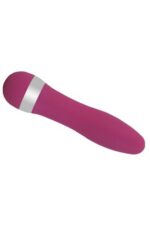Small Vibrator / % 100 Slikon , Mini Vibratör 11,5 cm Boy, 2,7 cm EnLüks Tasarımıyla Medium Vibratör – Yüksek Performanslı Titreşim Modları – Pembe Renkli
