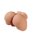 KJ 28 1.png