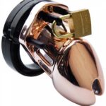 bdsm plastik penis kafesi 9960 1.jpg