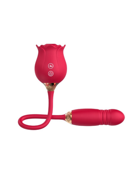 ileri geri hareketli vibrator ve gul vakum 636519 2.jpg