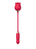 ileri geri hareketli vibrator ve gul vakum 636521 4.jpg